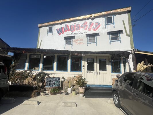 わんちゃんと一緒にランチ！WAG’s 413