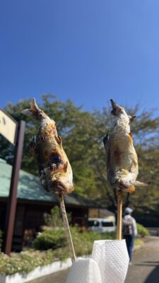 道志渓谷　秋の収穫祭
