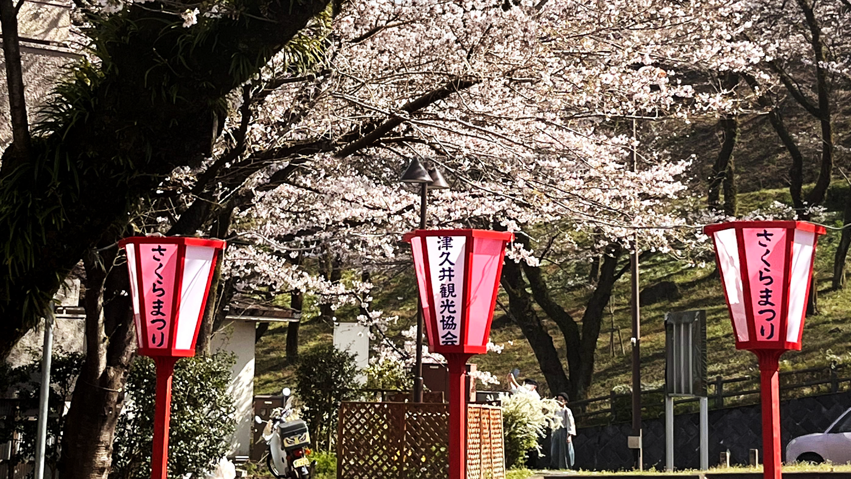桜と、さくらまつりとかかれたぼんぼり