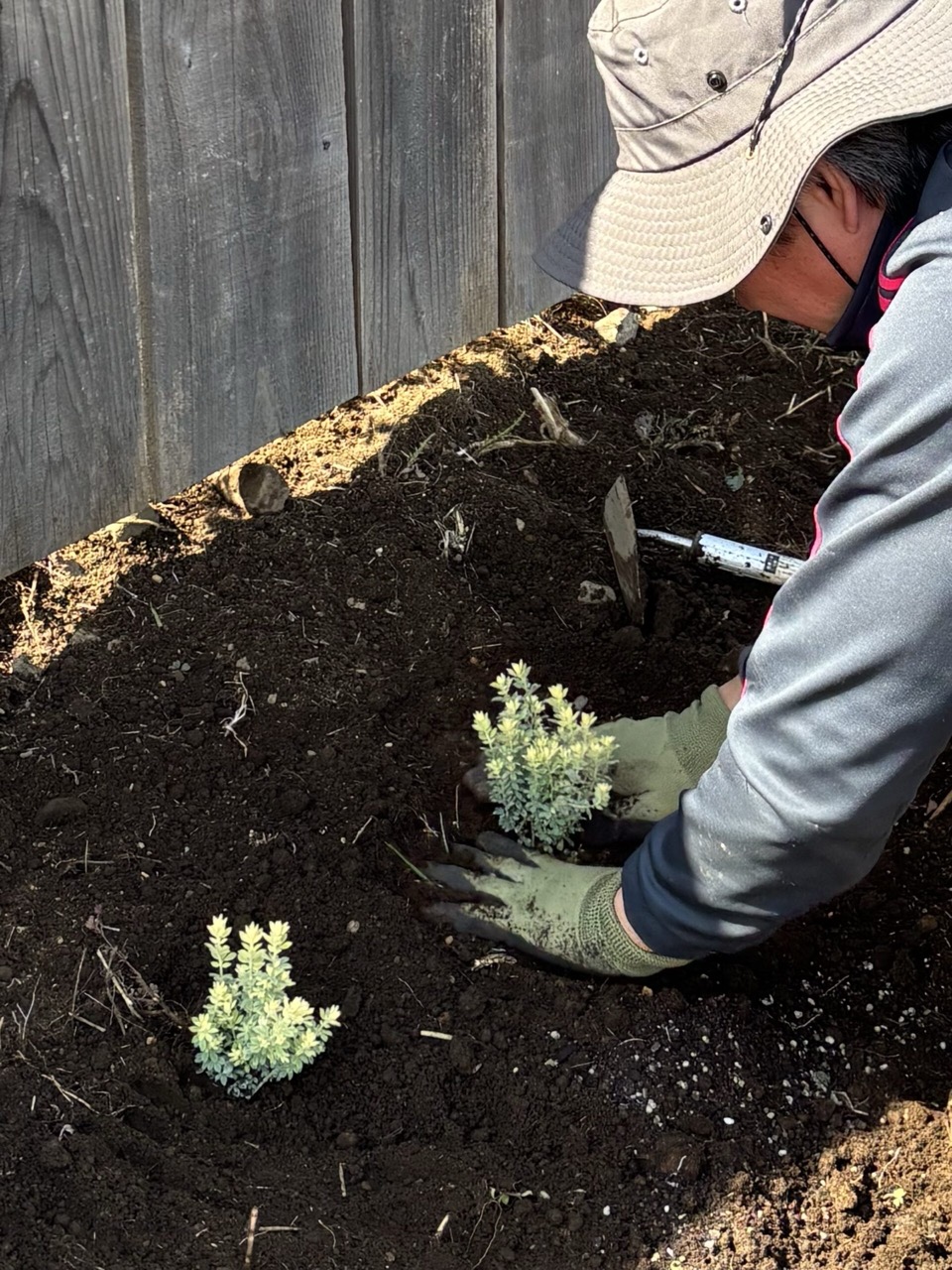 モッケヤの庭に花の苗を植える男性