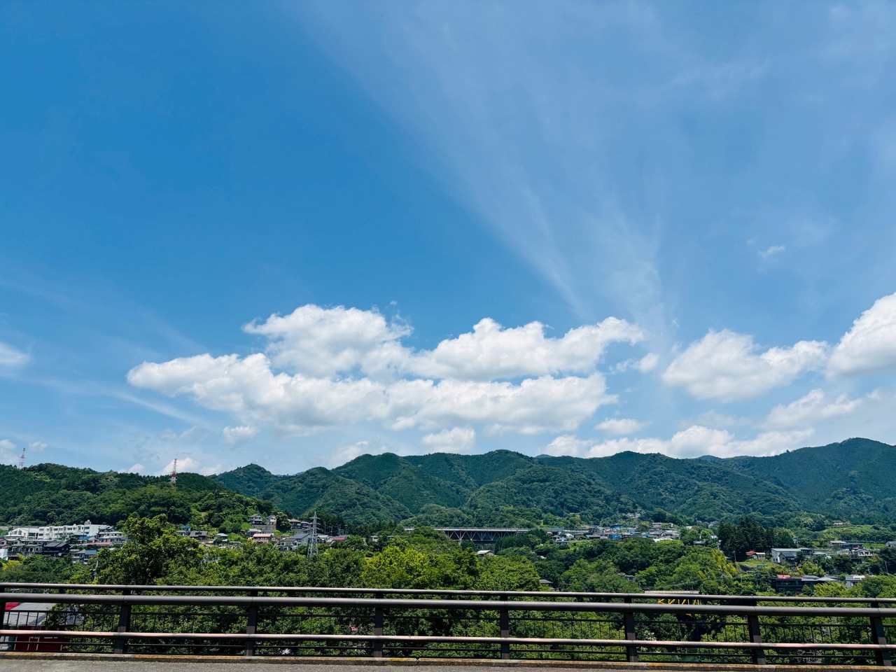 6月の藤野の山の景色