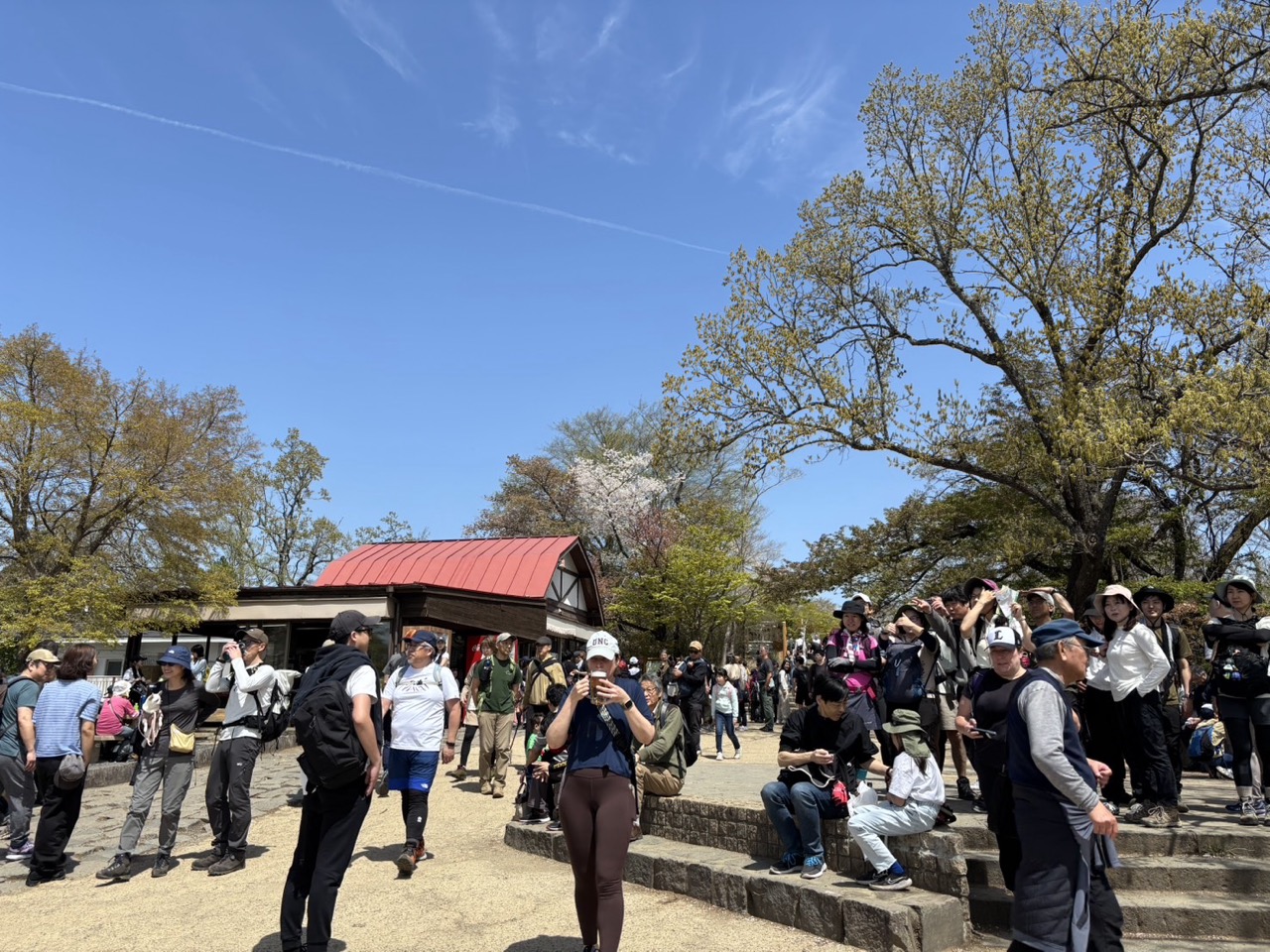 高尾山山頂の広場