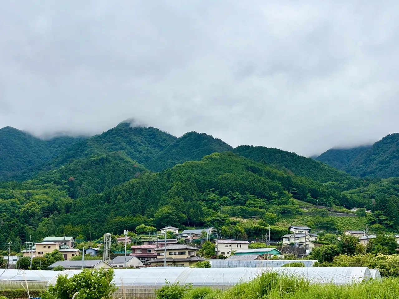 青根ファームから見える山