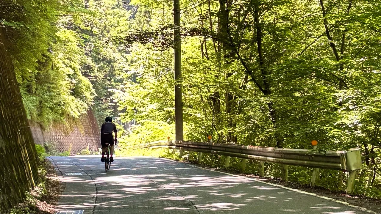国際自転車ロードレース ツアー・オブ・ジャパン（TOJ）でコースを走る自転車