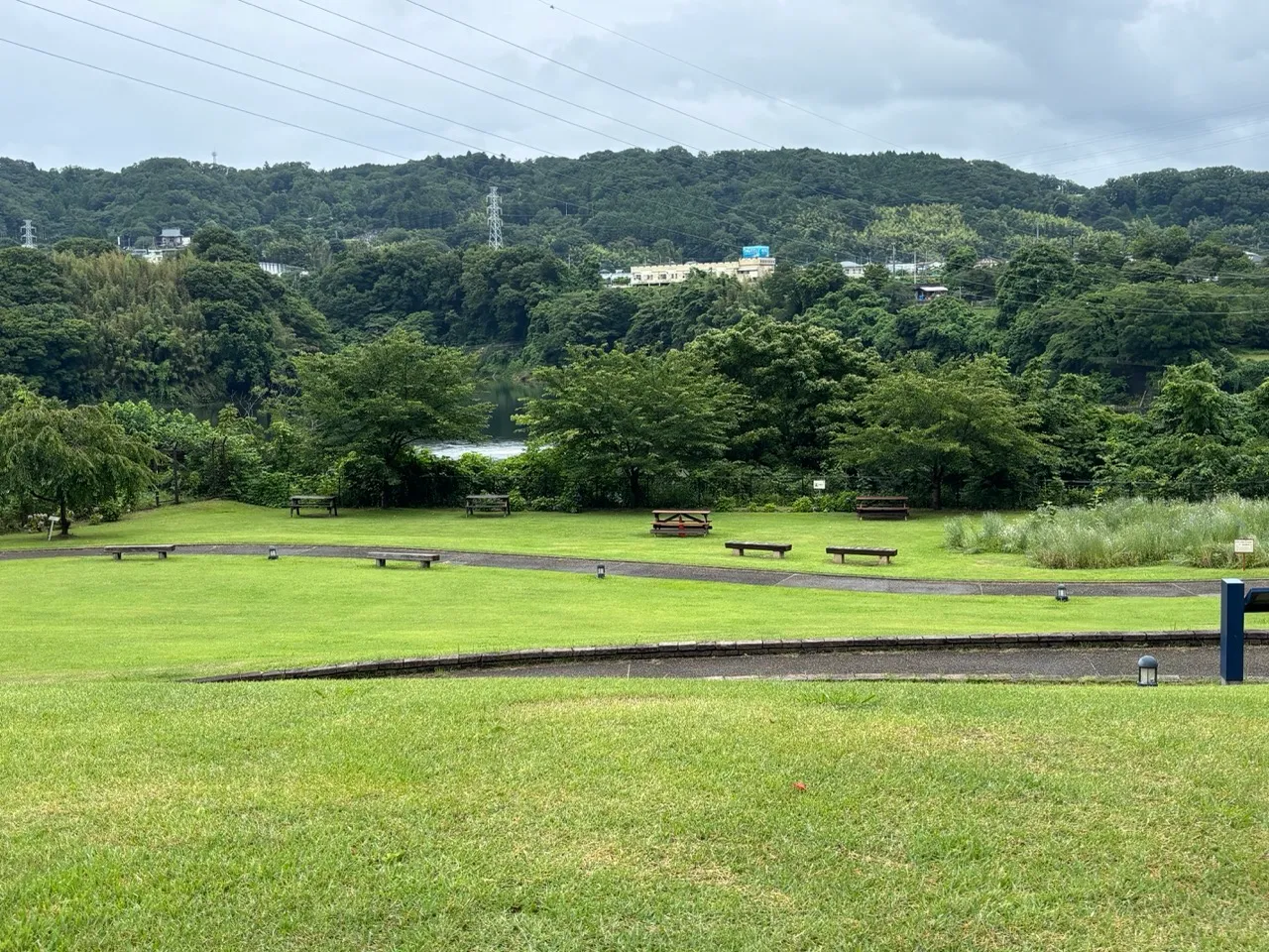 青野原の緑